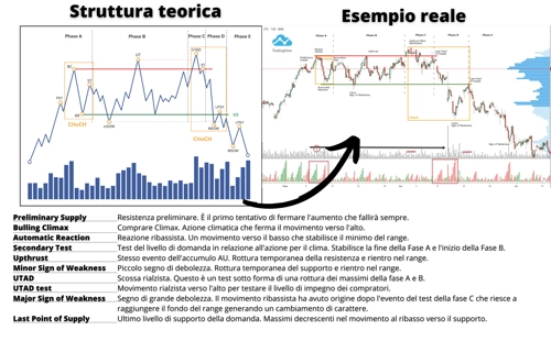 Struttura di Distribuzione