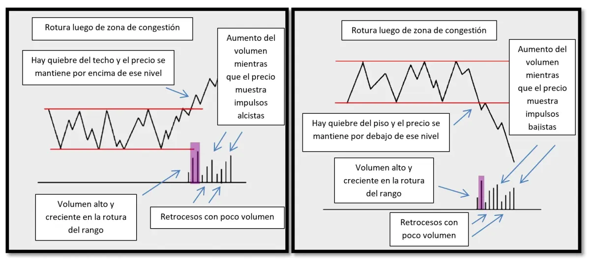 Etapas de una tendencia