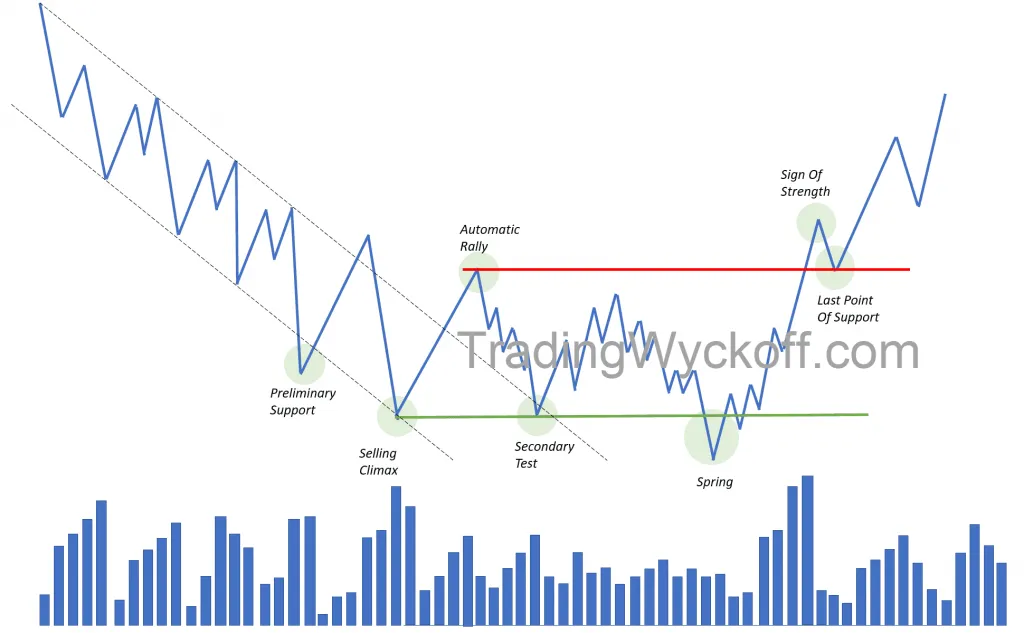 Last Point of Support (LPS): La Confirmación Final en Wyckoff